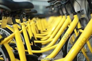 ofo单车最新爆料,行业变革下的生存之道”