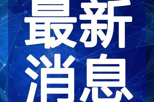 团山最新爆料新闻视频下载,揭秘视频背后的惊人真相