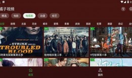 明星八卦大爆料最新资源下载,独家资源下载，揭秘娱乐圈幕后真相