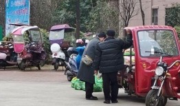 六安新闻最新爆料,揭秘重大事件背后真相，最新爆料震撼来袭！