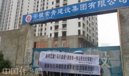 隆平高科最新爆料新闻,揭秘农业科技巨头的新突破与未来战略