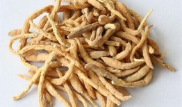 最新大料爆料配方大全,独家配方大全大公开！