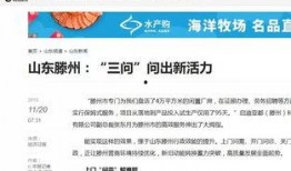 滕州最新爆料新闻报道视频,视频揭露惊人真相，引网友热议！
