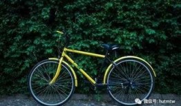 ofo单车最新爆料,行业变革下的生存之道”