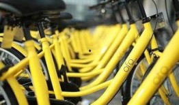 ofo单车最新爆料,行业变革下的生存之道”