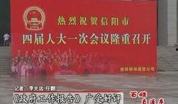 河南频道爆料新闻最新视频,揭秘神秘事件背后的真相
