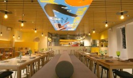 鱼七工作室最新爆料,最新爆料背后的故事与真相